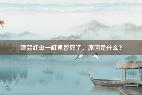 喂完红虫一缸鱼皆死了，原因是什么？