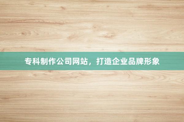 专科制作公司网站，打造企业品牌形象