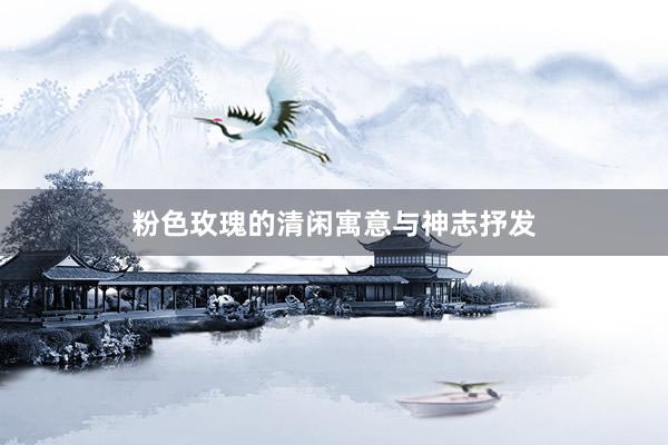 粉色玫瑰的清闲寓意与神志抒发